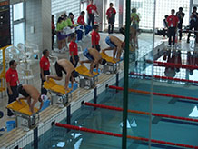 水泳競技の写真1