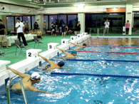 水泳競技の写真2